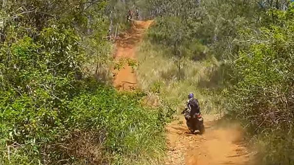 Africa Twin